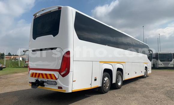 Sayi Na hannu Scania Irizar White Babbar mota in Maseru a Maseru Sayi Na hannu Scania Irizar White Babbar mota in Maseru a Maseru