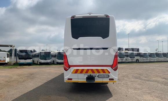 Sayi Na hannu Scania Irizar White Babbar mota in Maseru a Maseru Sayi Na hannu Scania Irizar White Babbar mota in Maseru a Maseru