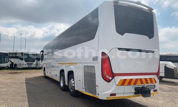 Sayi Na hannu Scania Irizar White Babbar mota in Maseru a Maseru Sayi Na hannu Scania Irizar White Babbar mota in Maseru a Maseru