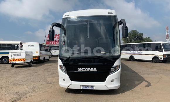 Sayi Na hannu Scania Irizar White Babbar mota in Maseru a Maseru Sayi Na hannu Scania Irizar White Babbar mota in Maseru a Maseru