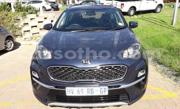 اشتري مستعمل Kia Sportage Other سيارة في Maseru في Maseru اشتري مستعمل Kia Sportage Other سيارة في Maseru في Maseru