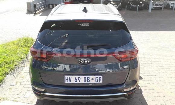 اشتري مستعمل Kia Sportage Other سيارة في Maseru في Maseru اشتري مستعمل Kia Sportage Other سيارة في Maseru في Maseru
