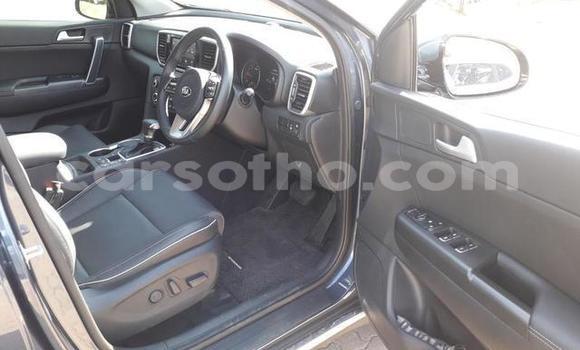 اشتري مستعمل Kia Sportage Other سيارة في Maseru في Maseru اشتري مستعمل Kia Sportage Other سيارة في Maseru في Maseru