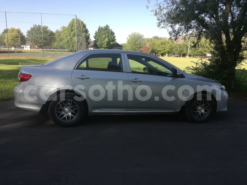 Big with watermark img 20190111 165809