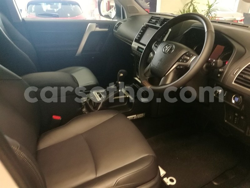 Big with watermark 8