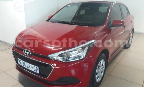 Buy Used Hyundai i20 Other Car in Butha Buthe in Butha-Buthe Buy Used Hyundai i20 Other Car in Butha Buthe in Butha-Buthe