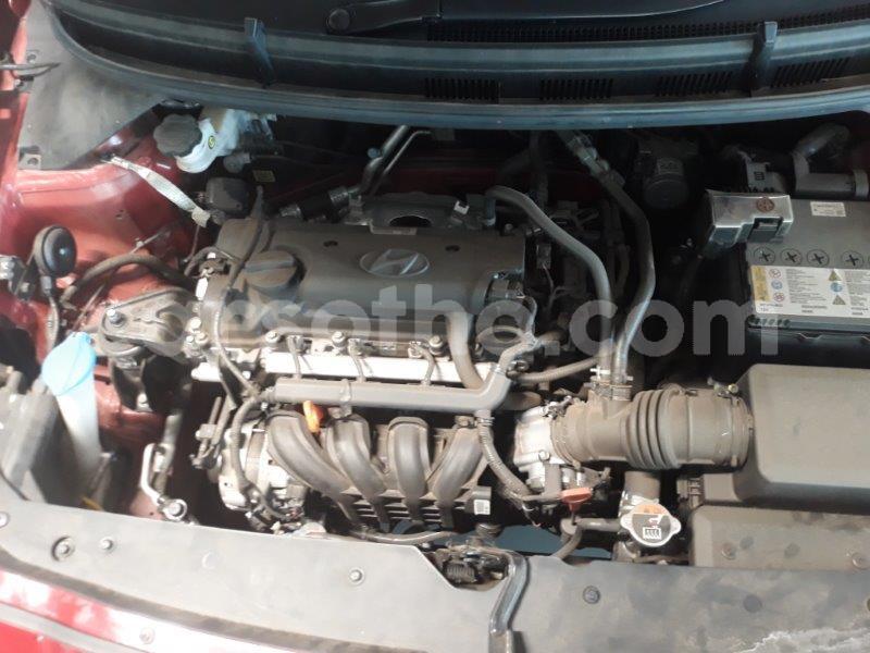 Big with watermark x2