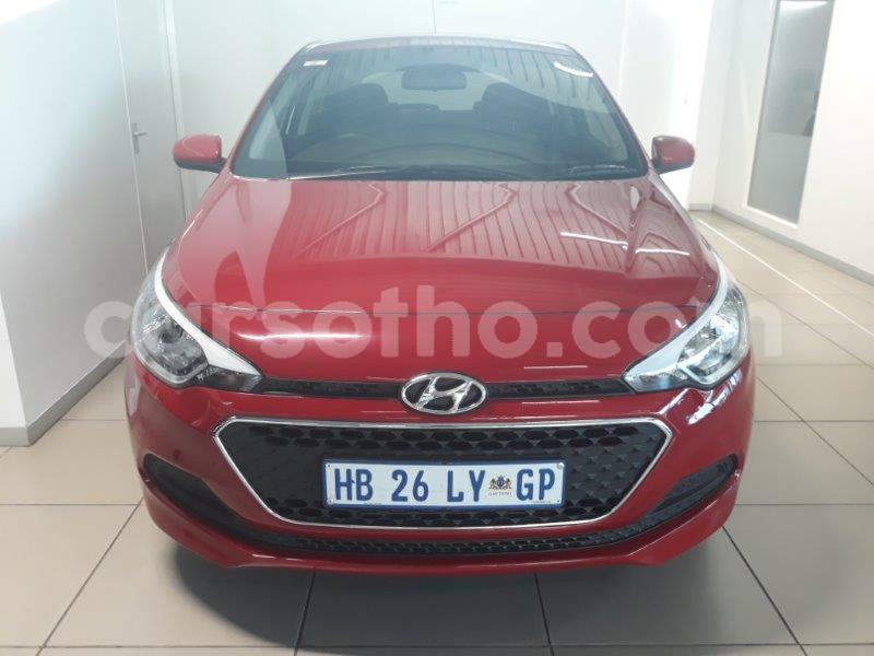 Big with watermark x1