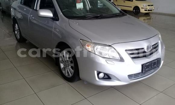Acheter Occasion Voiture Toyota Corolla Autre à Maputsoe, Leribe Acheter Occasion Voiture Toyota Corolla Autre à Maputsoe, Leribe