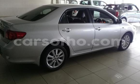 Acheter Occasion Voiture Toyota Corolla Autre à Maputsoe, Leribe Acheter Occasion Voiture Toyota Corolla Autre à Maputsoe, Leribe