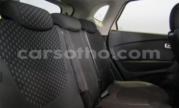 Buy Used Renault Captur Silver Car in Maputsoa in Leribe Buy Used Renault Captur Silver Car in Maputsoa in Leribe