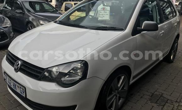 Sayi Na hannu Volkswagen Polo White Mota in Maseru a Maseru Sayi Na hannu Volkswagen Polo White Mota in Maseru a Maseru