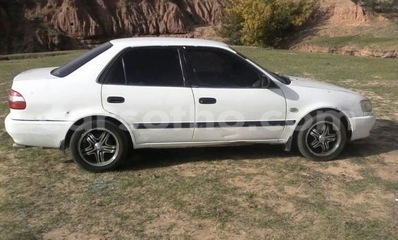 Buy Used Toyota Corolla White Car in Maseru in Maseru Buy Used Toyota Corolla White Car in Maseru in Maseru