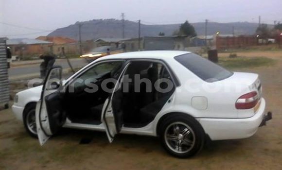 Buy Used Toyota Corolla White Car in Maseru in Maseru Buy Used Toyota Corolla White Car in Maseru in Maseru
