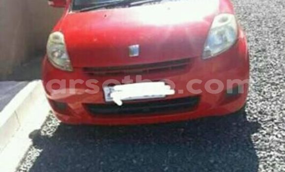Buy Used Toyota Passo Red Car in Maseru in Maseru Buy Used Toyota Passo Red Car in Maseru in Maseru