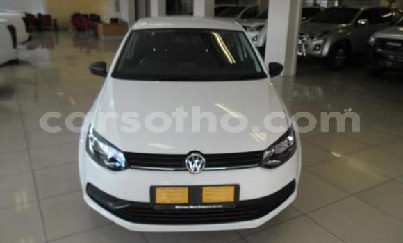 Buy Used Volkswagen Polo White Car in Maseru in Maseru Buy Used Volkswagen Polo White Car in Maseru in Maseru