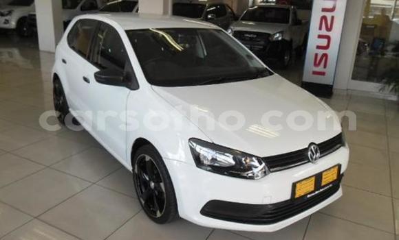 Buy Used Volkswagen Polo White Car in Maseru in Maseru Buy Used Volkswagen Polo White Car in Maseru in Maseru