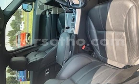 Acheter Occasion Voiture Rover SD1 Blanc à Maputsoa, Leribe Acheter Occasion Voiture Rover SD1 Blanc à Maputsoa, Leribe