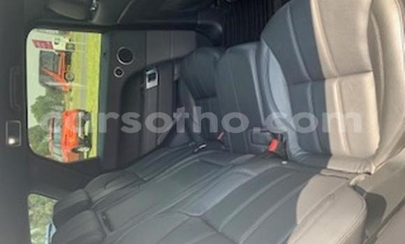 Acheter Occasion Voiture Rover SD1 Blanc à Maputsoa, Leribe Acheter Occasion Voiture Rover SD1 Blanc à Maputsoa, Leribe