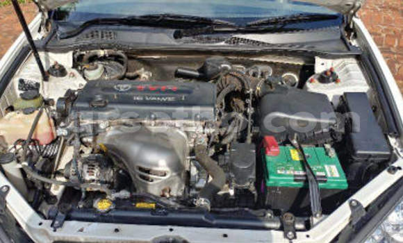 Buy Used Toyota Camry White Car in Maseru in Maseru Buy Used Toyota Camry White Car in Maseru in Maseru