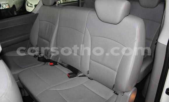 Sayi Na hannu Hyundai H1 White Mota in Butha Buthe a Butha-Buthe Sayi Na hannu Hyundai H1 White Mota in Butha Buthe a Butha-Buthe