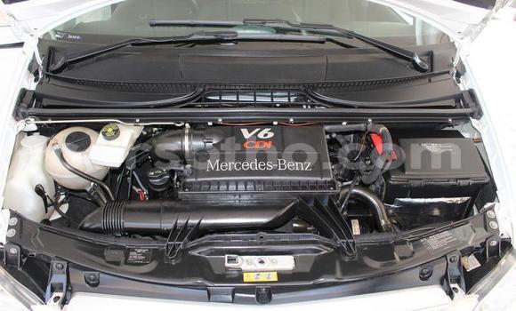 اشتري مستعمل Mercedes-Benz Vito White سيارة في Butha–Buthe في Thaba-Tseka اشتري مستعمل Mercedes-Benz Vito White سيارة في Butha–Buthe في Thaba-Tseka