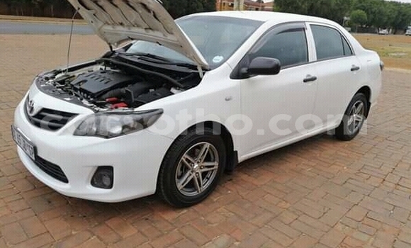 Acheter Occasion Voiture Toyota Corolla Blanc à Maseru, Maseru Acheter Occasion Voiture Toyota Corolla Blanc à Maseru, Maseru
