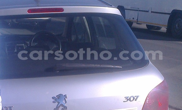 Buy Used Peugeot 307 Silver Car in Maseru in Maseru Buy Used Peugeot 307 Silver Car in Maseru in Maseru