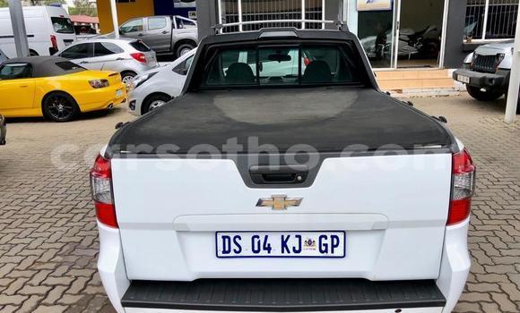 Sayi Na hannu Chevrolet C-10 White Mota in Maputsoa a Leribe Sayi Na hannu Chevrolet C-10 White Mota in Maputsoa a Leribe