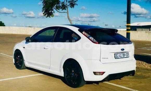 Buy Used Ford Focus White Car in Maseru in Maseru Buy Used Ford Focus White Car in Maseru in Maseru