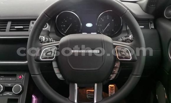 Buy Used Land Rover Range Rover Evoque White Car in Maseru in Maseru Buy Used Land Rover Range Rover Evoque White Car in Maseru in Maseru