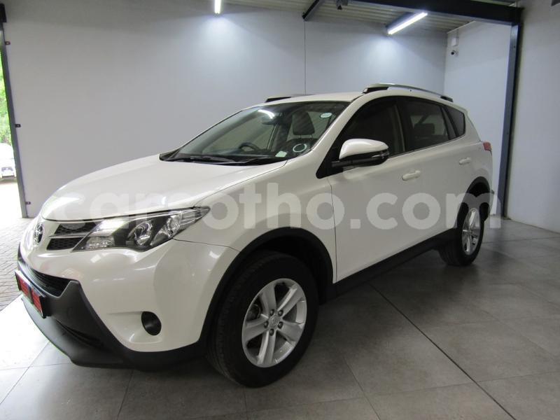 Big with watermark jn3