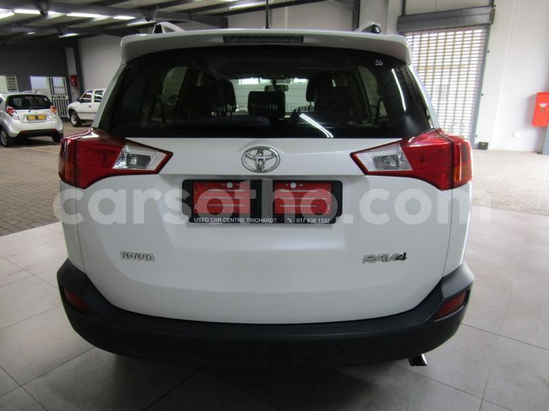 Big with watermark jn4