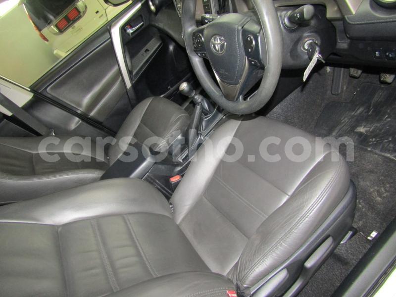 Big with watermark jn6