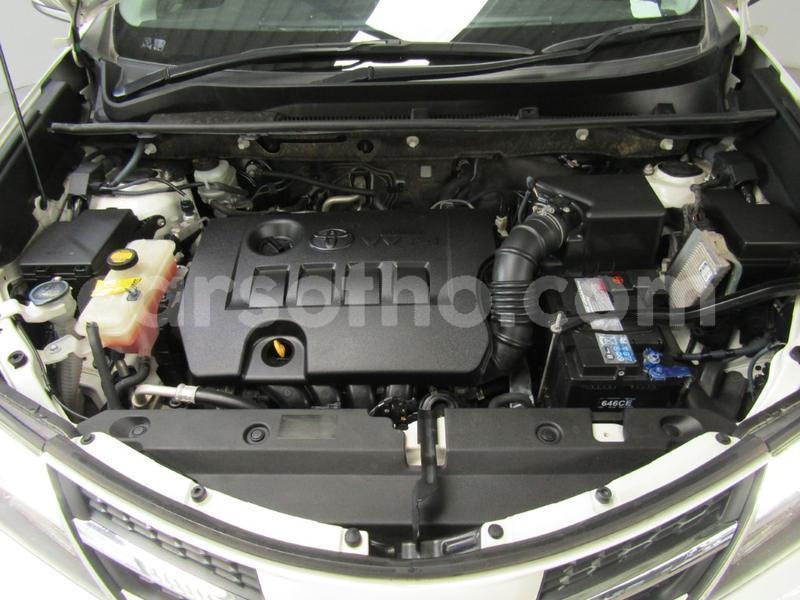 Big with watermark jn9