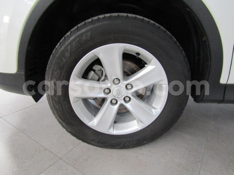 Big with watermark jn10