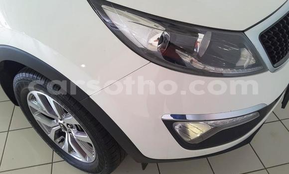 اشتري مستعمل Kia Sportage White سيارة في Butha Buthe في Butha-Buthe اشتري مستعمل Kia Sportage White سيارة في Butha Buthe في Butha-Buthe
