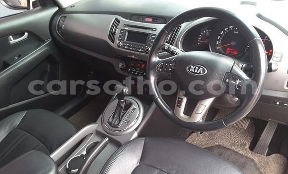 اشتري مستعمل Kia Sportage White سيارة في Butha Buthe في Butha-Buthe اشتري مستعمل Kia Sportage White سيارة في Butha Buthe في Butha-Buthe