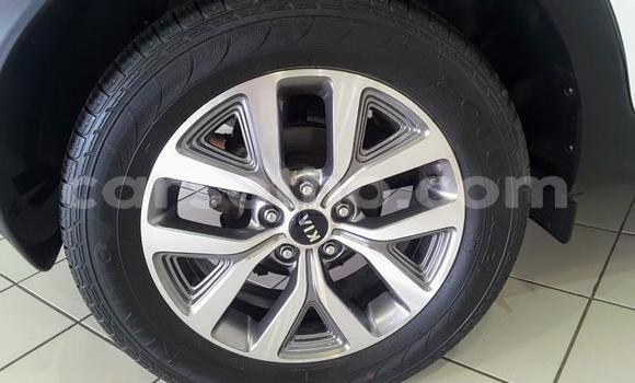 اشتري مستعمل Kia Sportage White سيارة في Butha Buthe في Butha-Buthe اشتري مستعمل Kia Sportage White سيارة في Butha Buthe في Butha-Buthe