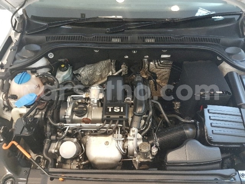 Big with watermark vj 11