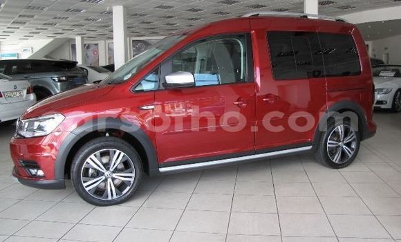 Acheter Occasion Voiture Volkswagen Caddy Rouge à Mafeteng, Mafeteng Acheter Occasion Voiture Volkswagen Caddy Rouge à Mafeteng, Mafeteng