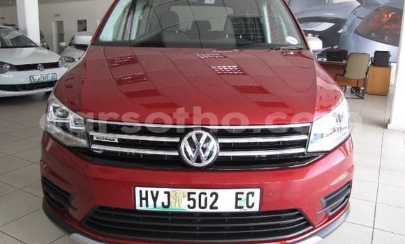 Acheter Occasion Voiture Volkswagen Caddy Rouge à Mafeteng, Mafeteng Acheter Occasion Voiture Volkswagen Caddy Rouge à Mafeteng, Mafeteng