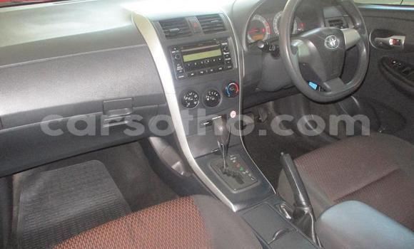 Sayi Na hannu Toyota Corolla Blue Mota in Maseru a Maseru Sayi Na hannu Toyota Corolla Blue Mota in Maseru a Maseru
