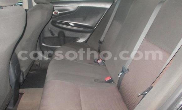 Sayi Na hannu Toyota Corolla Blue Mota in Maseru a Maseru Sayi Na hannu Toyota Corolla Blue Mota in Maseru a Maseru