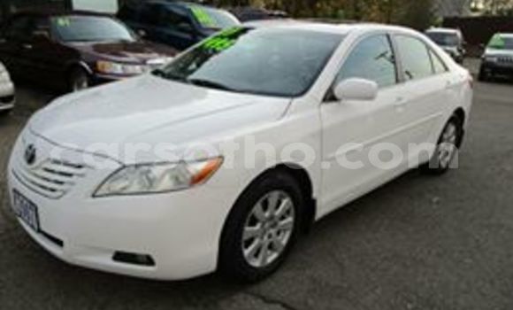 Buy Used Toyota Corolla White Car in Maseru in Maseru Buy Used Toyota Corolla White Car in Maseru in Maseru