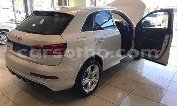 Sayi Na hannu Audi RS3 Silver Mota in Butha–Buthe a Thaba-Tseka Sayi Na hannu Audi RS3 Silver Mota in Butha–Buthe a Thaba-Tseka