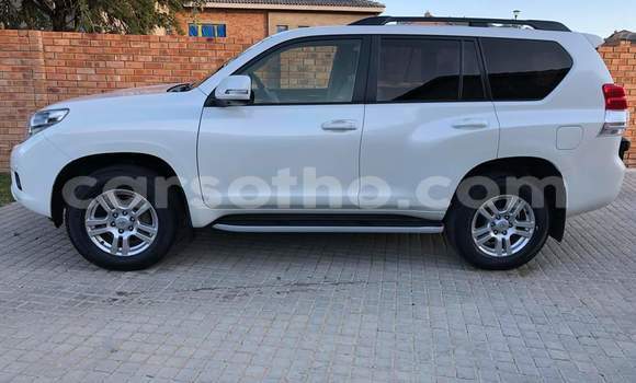 Acheter Occasion Voiture Toyota Land Cruiser Prado Blanc à Butha–Buthe, Thaba-Tseka Acheter Occasion Voiture Toyota Land Cruiser Prado Blanc à Butha–Buthe, Thaba-Tseka
