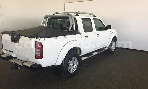 Acheter Occasion Voiture Nissan NP 300 Blanc à Maputsoe, Leribe Acheter Occasion Voiture Nissan NP 300 Blanc à Maputsoe, Leribe