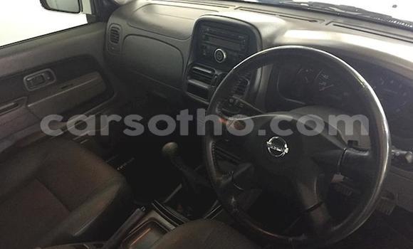 Acheter Occasion Voiture Nissan NP 300 Blanc à Maputsoe, Leribe Acheter Occasion Voiture Nissan NP 300 Blanc à Maputsoe, Leribe