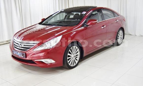 Acheter Occasion Voiture Hyundai Sonata Autre à Butha–Buthe, Thaba-Tseka Acheter Occasion Voiture Hyundai Sonata Autre à Butha–Buthe, Thaba-Tseka